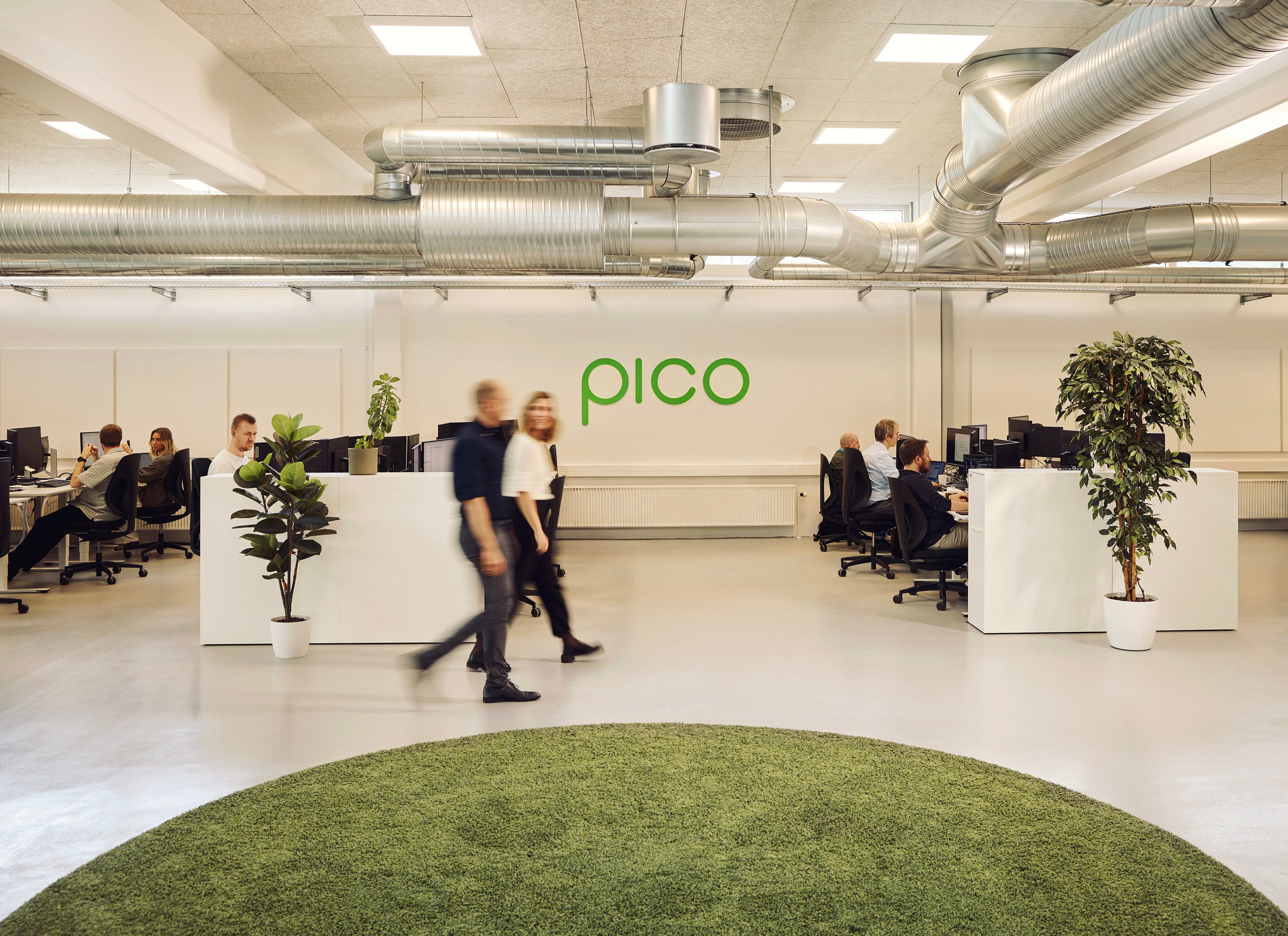 Pico kontorlokale med medarbeidere ved arbejdspladser, grønne planter og grønt gulvtæppe
